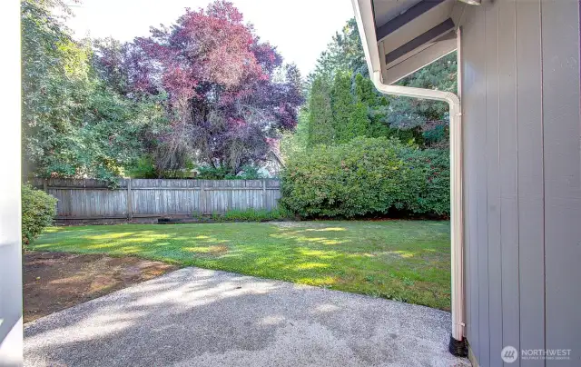 Back Patio