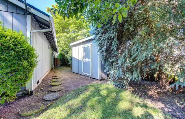 Side Yard