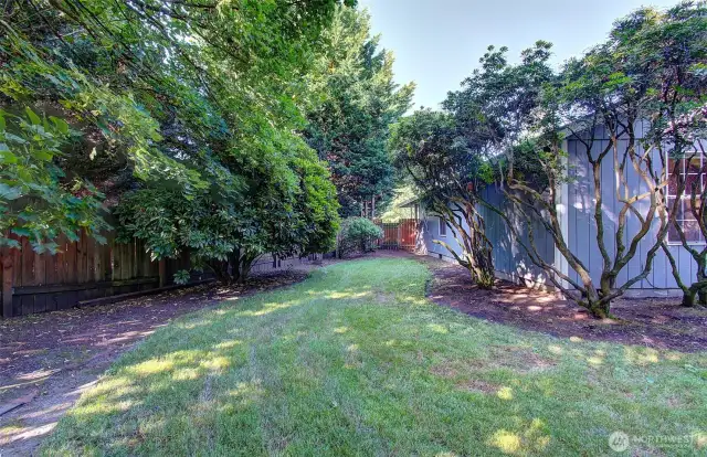 Side Yard