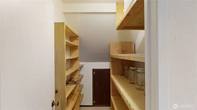 Just across the hall from the utility room is the expansive closet - great as pantry overflow, storage closet, etc.