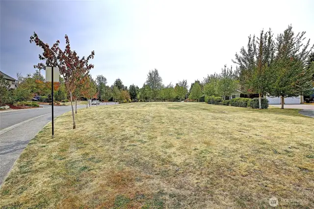 Community lawn/park for residents.
