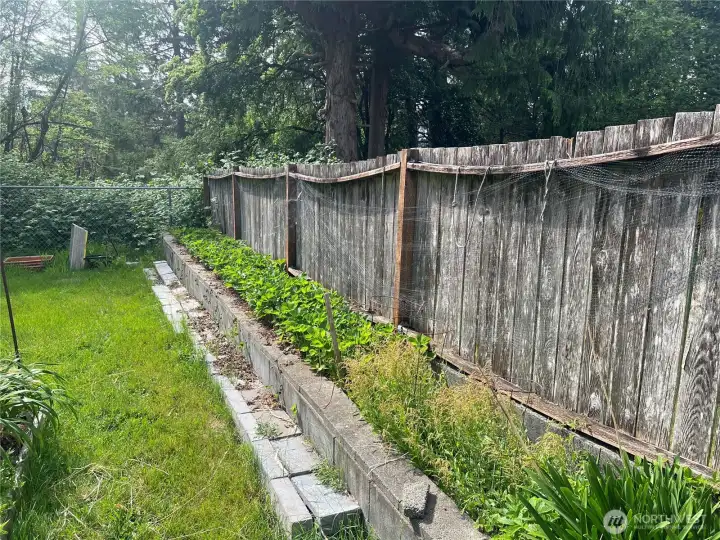 More gardening space.