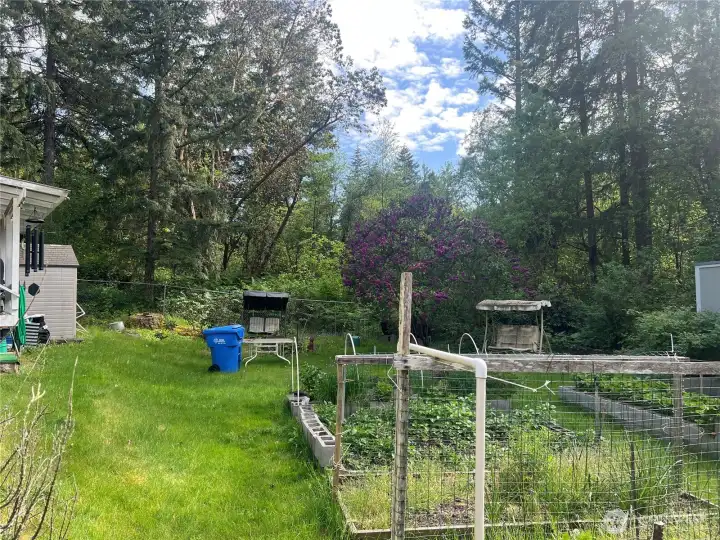 Notice all the privacy of this yard.