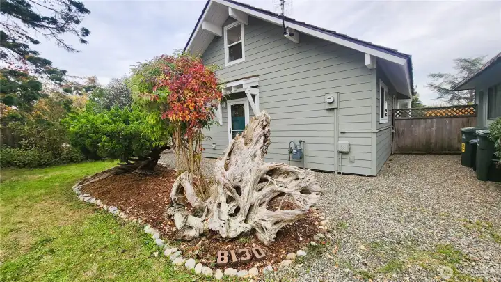 Unique driftwood sculpture