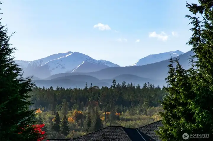 Mountian View through trees