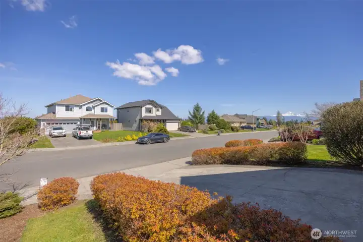 Mountain view from Driveway