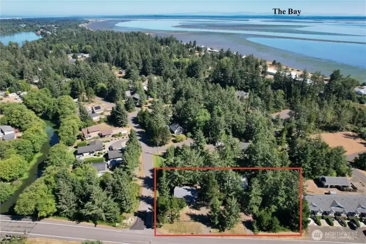 HUGE 3 parcel lot.