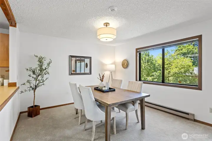 Large windows and rooms are a feature of this home. The dining room shines with a new drum ceiling light fixture!