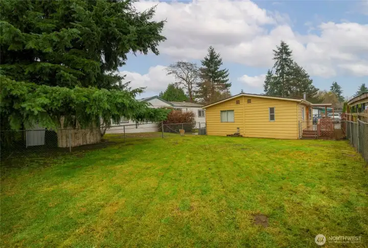 Large fenced backyard