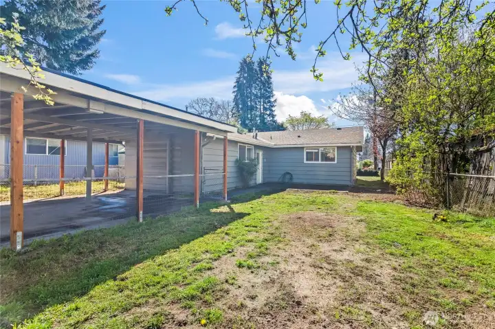 Blank slate backyard