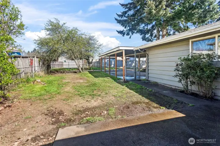 Patio outside backdoor