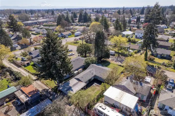 Overhead rear with Rainier in the background
