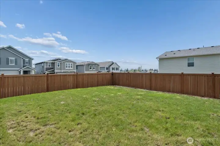 Backyard perfect for Family nights