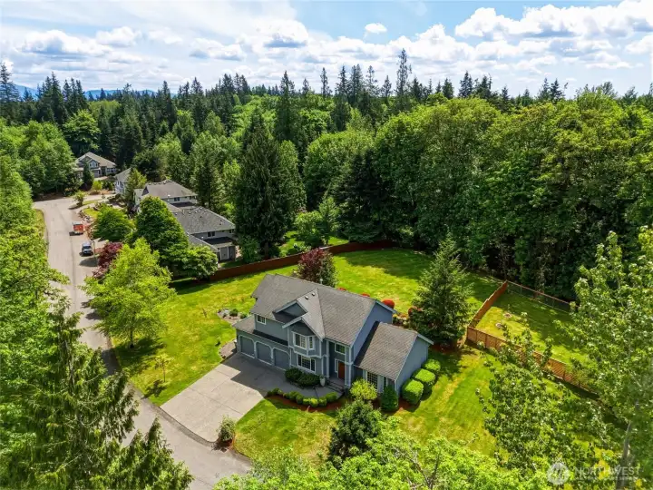 Surrounded by lush trees.
