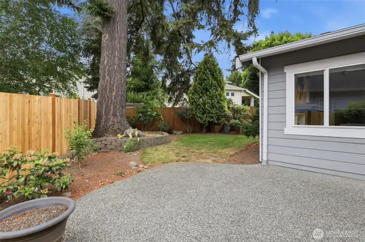 Patio and back yard. Patio and back yard.