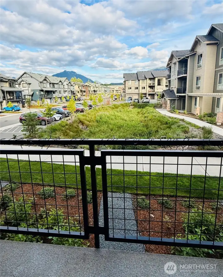 Deck View