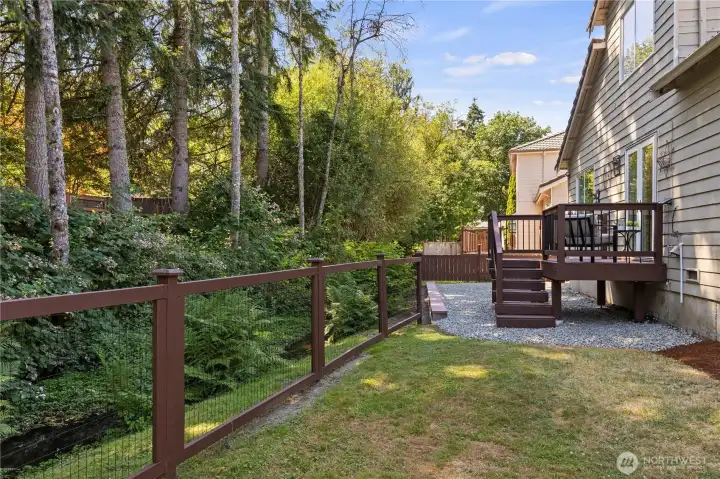 Super sweet creek meanders through the neighborhood~