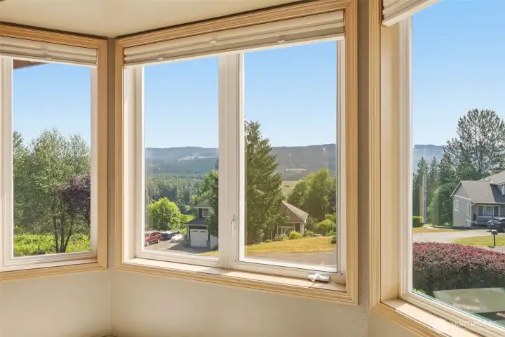 View From the Master Bedroom