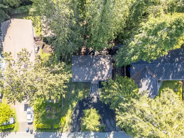 AERIAL VIEW | You'll love the privacy of the mature evergreens and cedar trees.