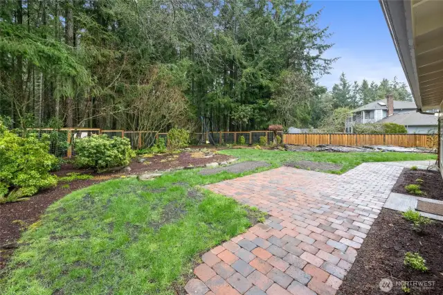 Back yard