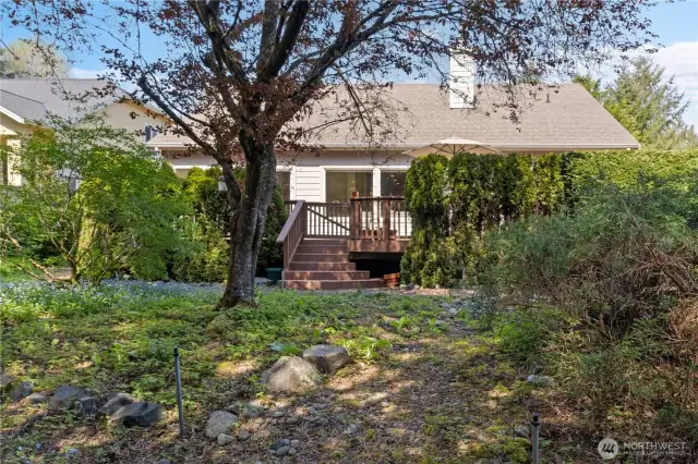 Watch the deer, birds, squirrels and ??? enjoy their natural surroundings in the spacious, low-maintenance back yard