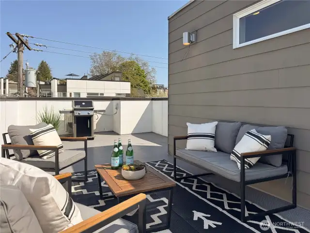 Expansive rooftop terrace is an excellent space for BBQ, entertaining, and gardening!