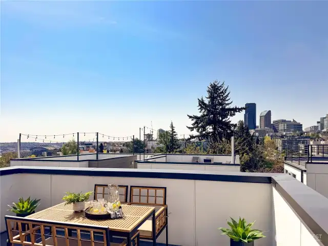 Expansive rooftop terrace is an excellent space for BBQ, entertaining, and gardening!