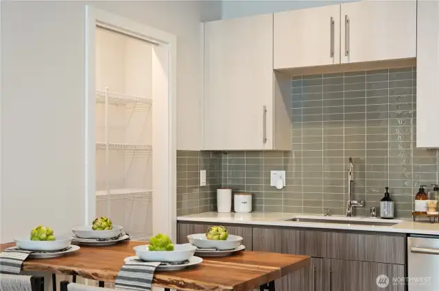 Gourmet kitchen with tile backsplash, quartz counters, stainless steel appliances, induction cooktop, and walk-in pantry.
