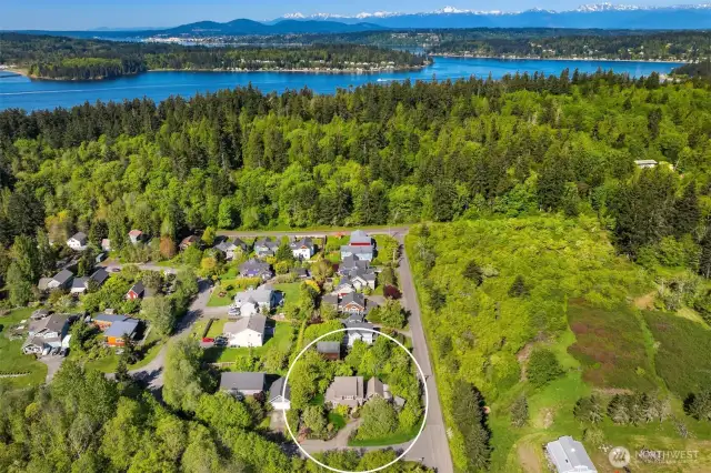 View from above looking South toward Rich Passage with the Olympic Mountains in the distance