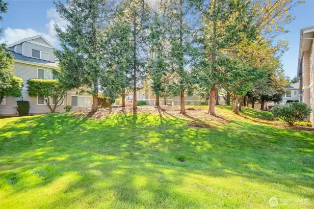 Well cared lawn and trees