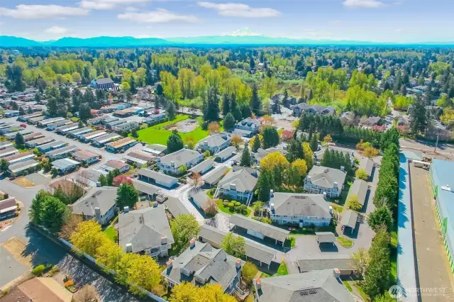 Windsong community view!