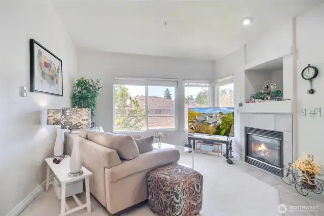 Airy vaulted ceiling in living area and has cozy gas fireplace(Gas included with HOA dues