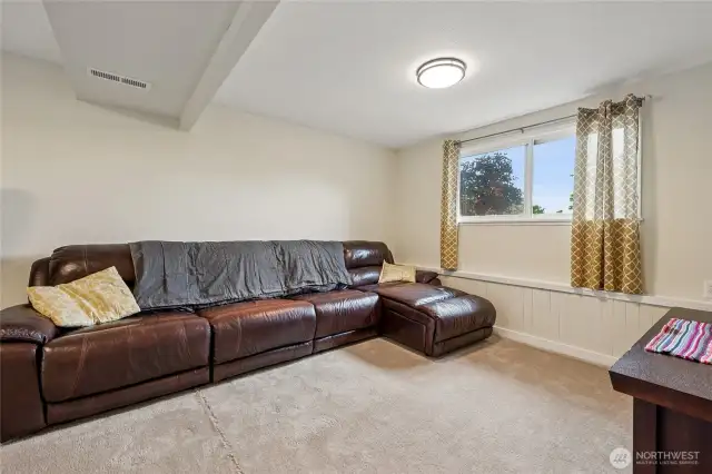 Family Room Lower Level