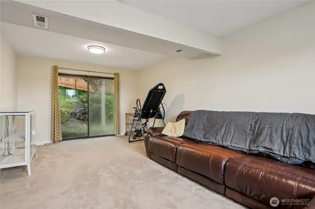 Family Room Lower Level
