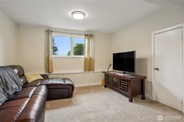 Family Room Lower Level