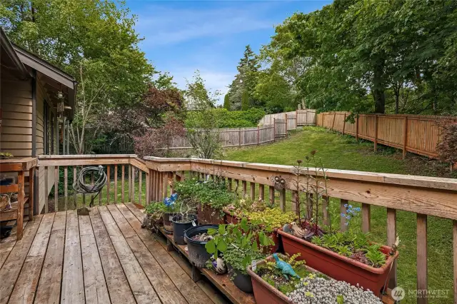 Enjoy the deck & backyard
