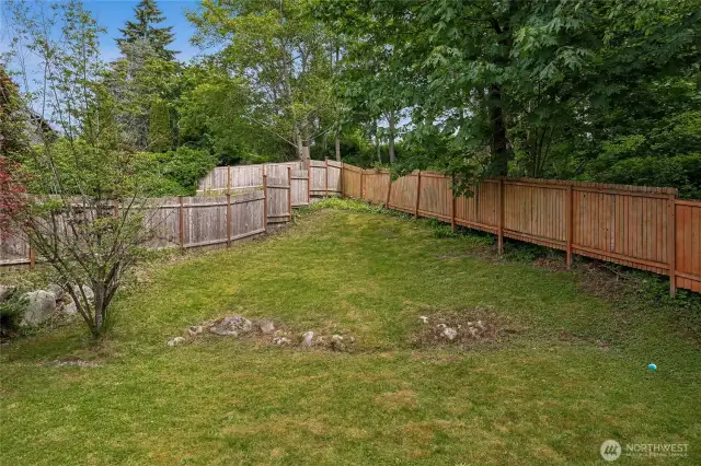 Backyard View