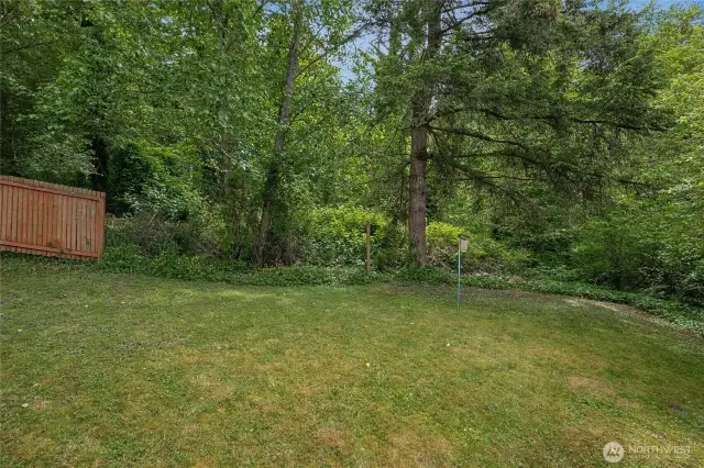 Backyard View