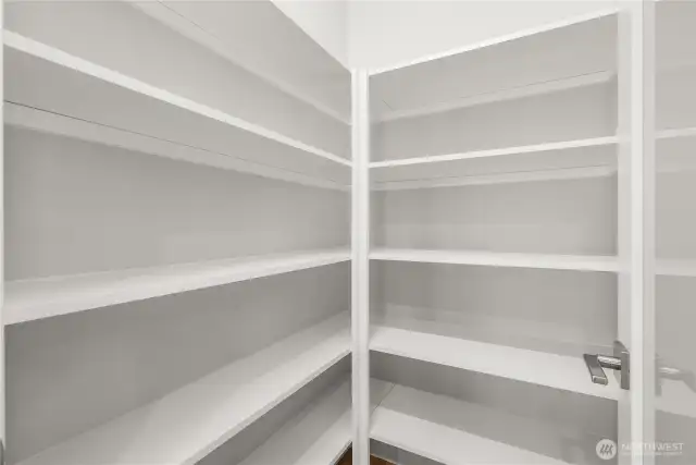 Walk-in pantry with solid shelving and frosted glass door.