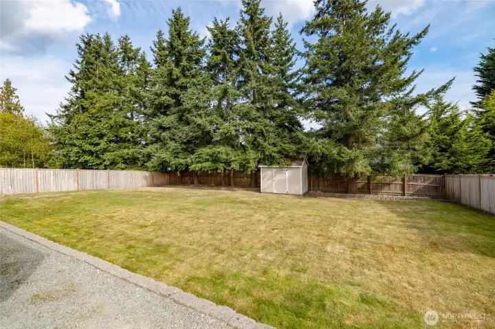 Tall fence and mature trees give back yard privacy.