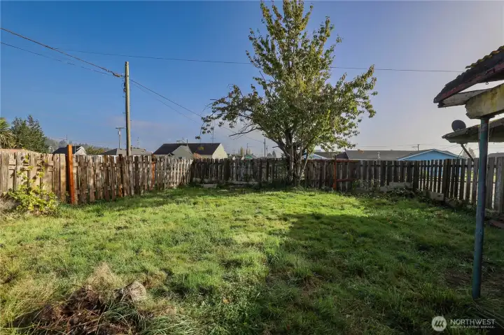 Fenced back yard