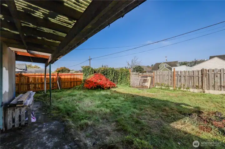 Back yard, second angle