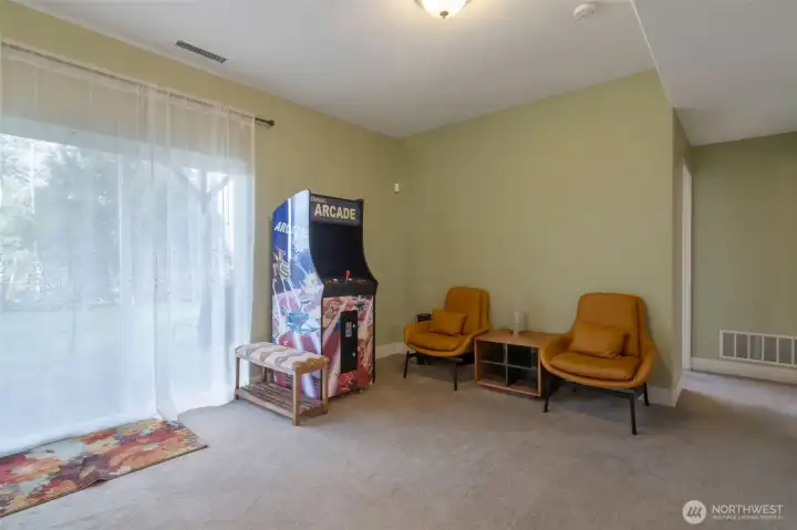 living room lower lever