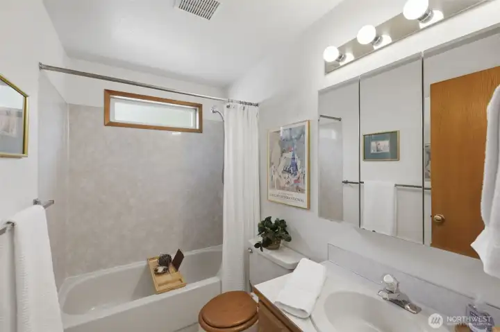 Hall bathroom