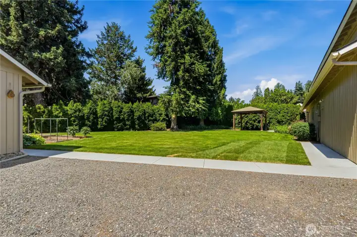 Large Back yard
