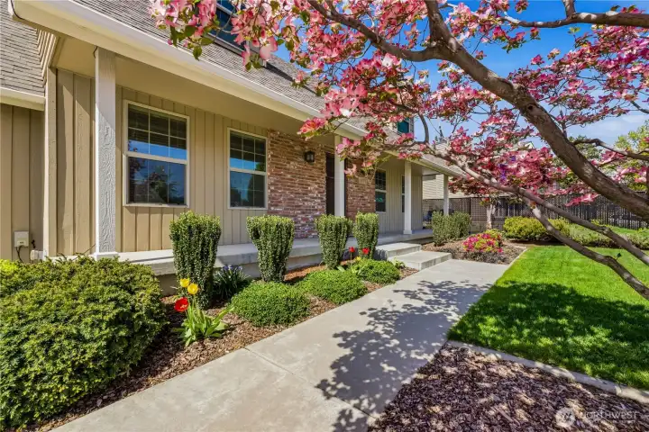 Front Walkway