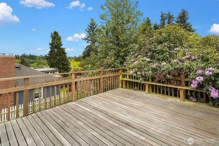 Back Deck