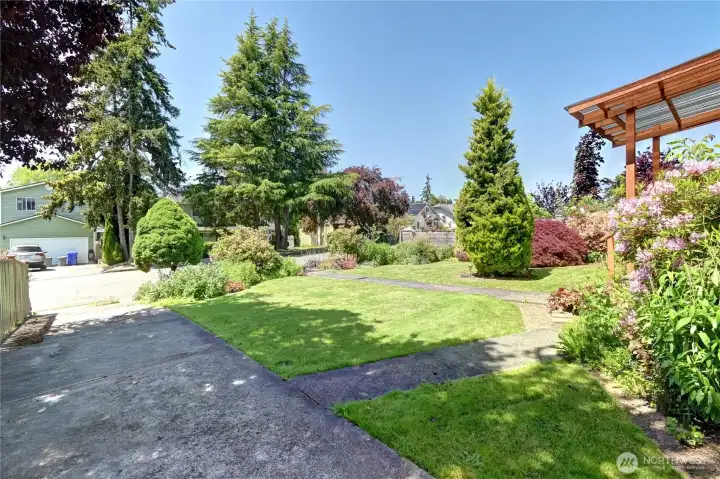Front Yard View of Driveway