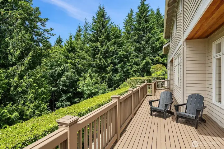 Private greenspace behind home - enjoy the wildlife!