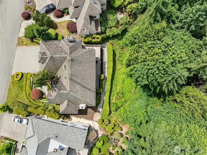 Private protected greenspace behind home